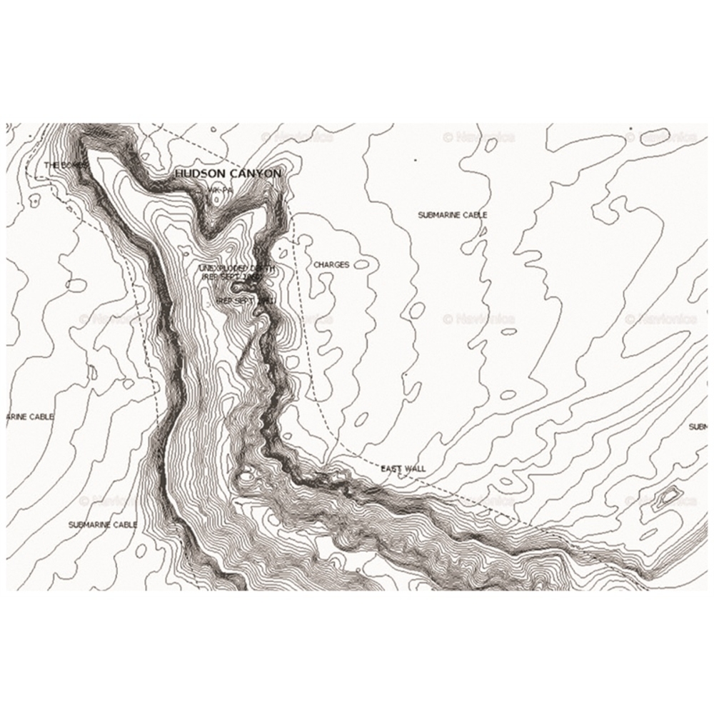 Thumbnail for Image 2