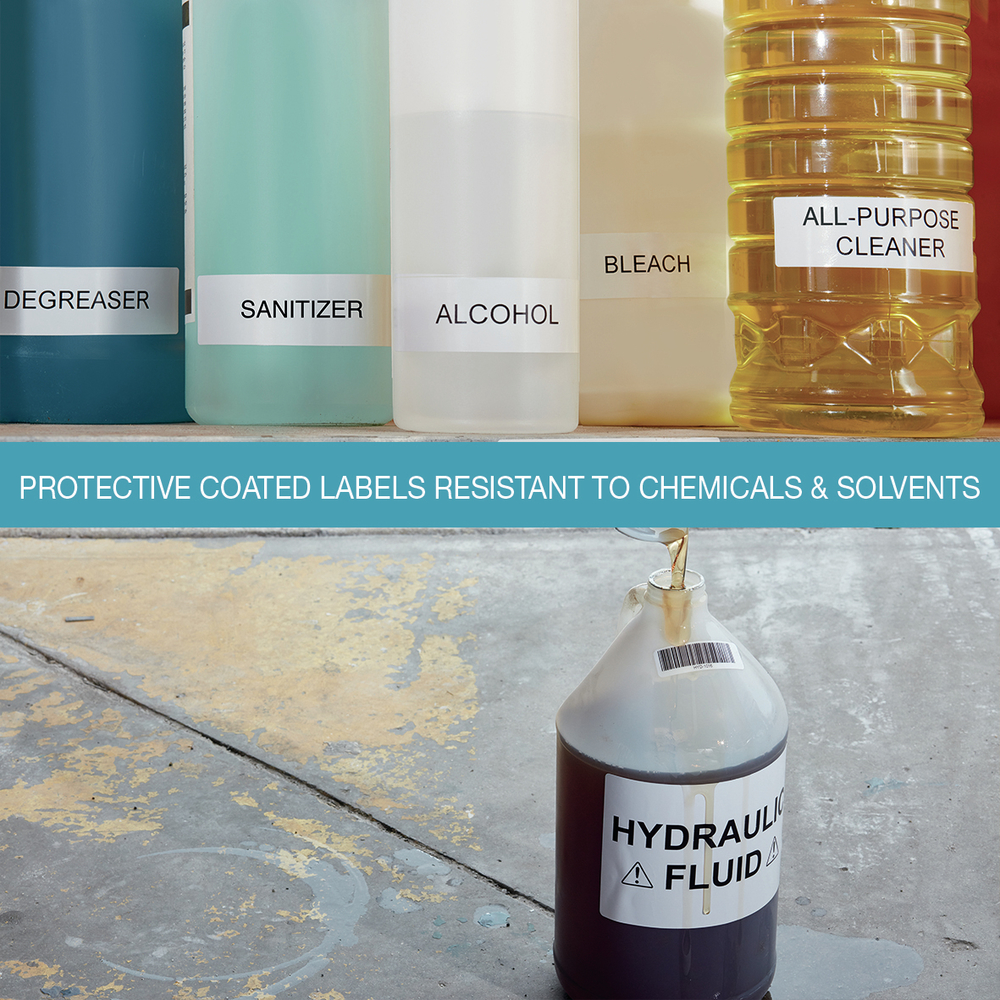 Thumbnail for Image 8