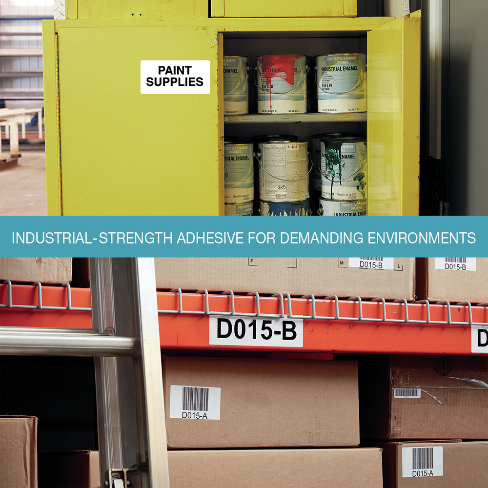 Thumbnail for Image 4