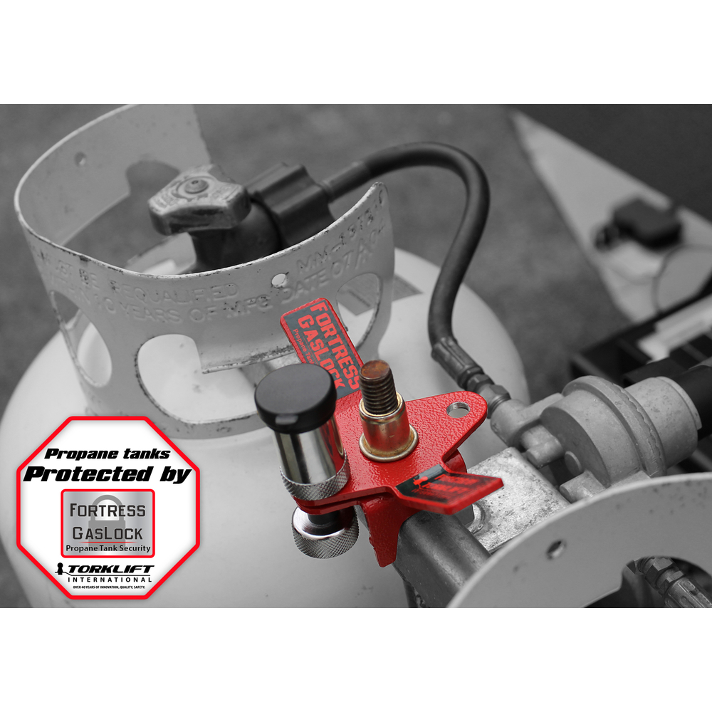 Thumbnail for Image 1