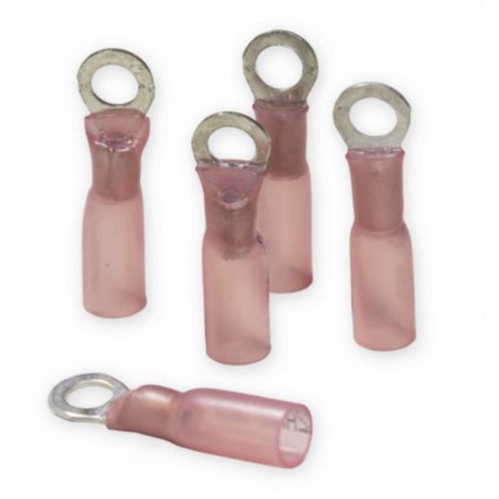 Thumbnail for Image 1