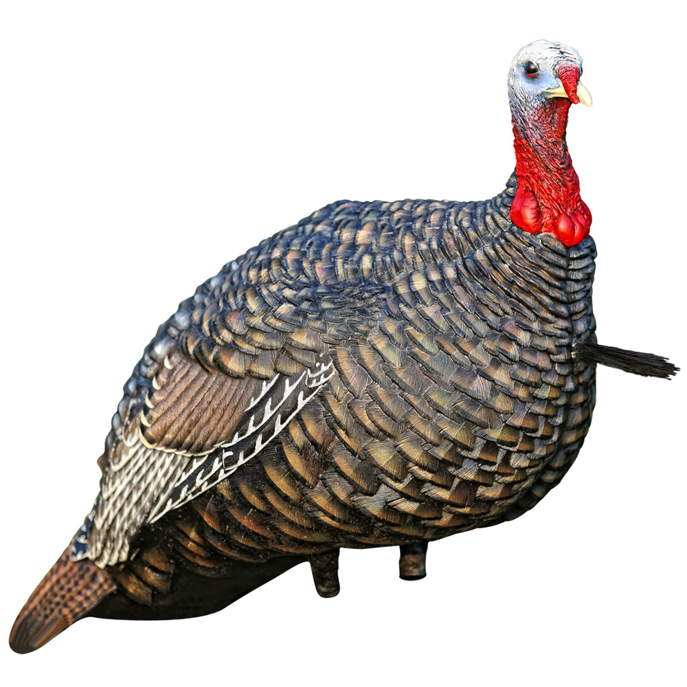 Avian X AVX8003 Quarter Strut Jake Turkey Decoy 810280080032 eBay