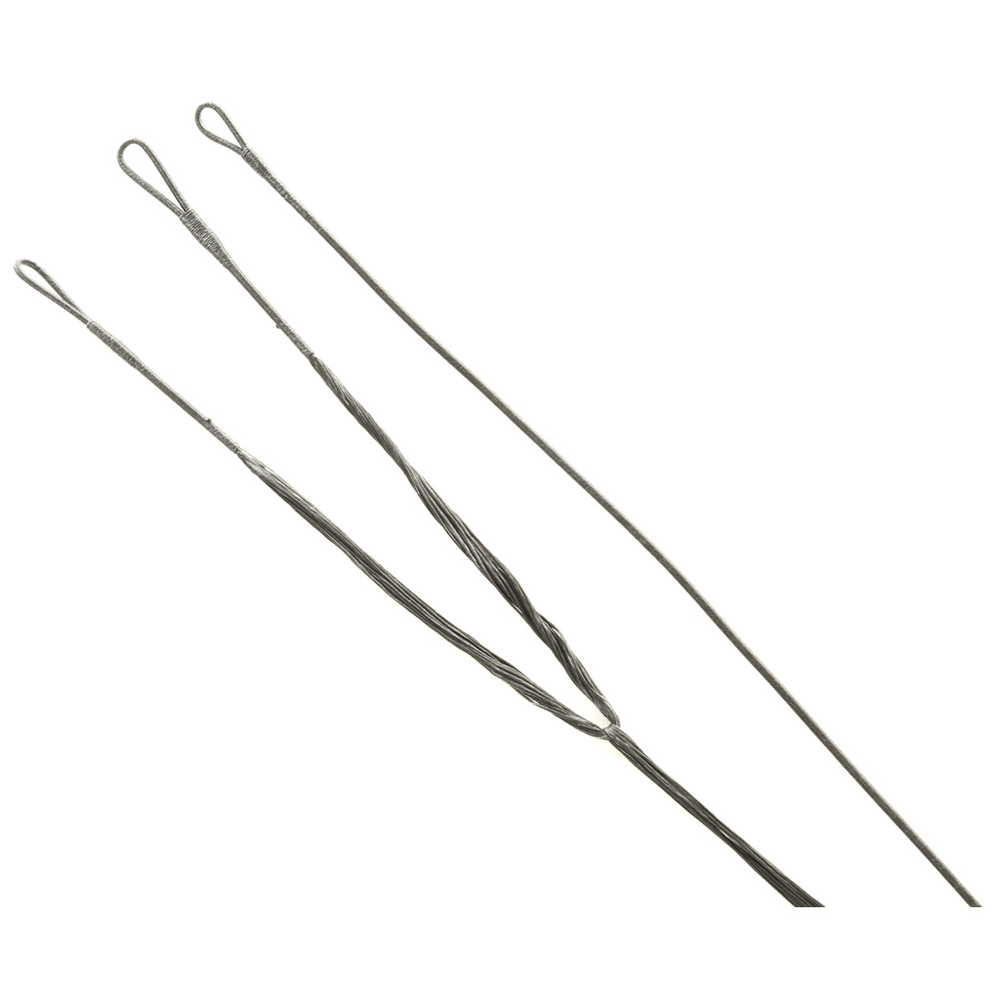 Thumbnail for Image 1