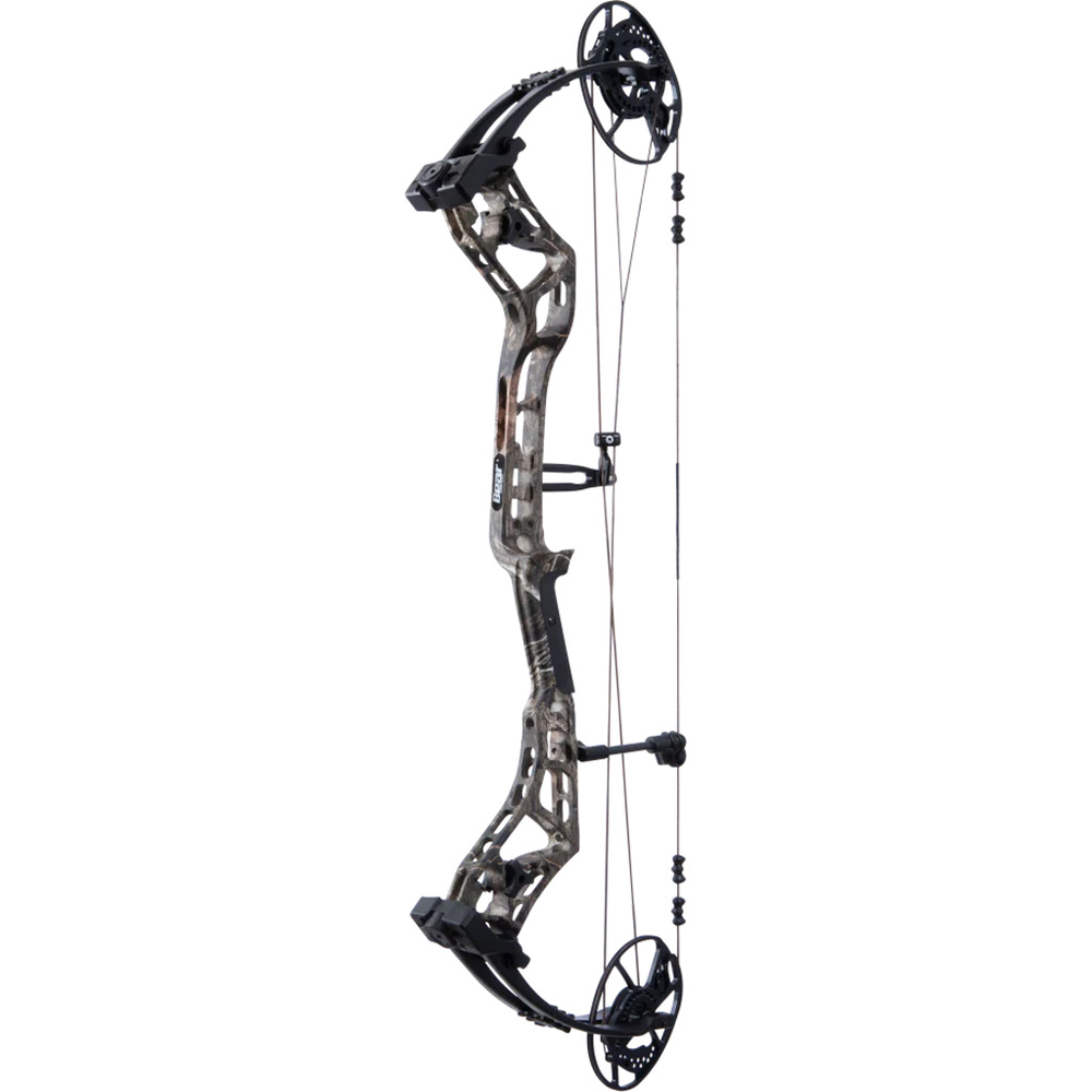 Thumbnail for Image 1