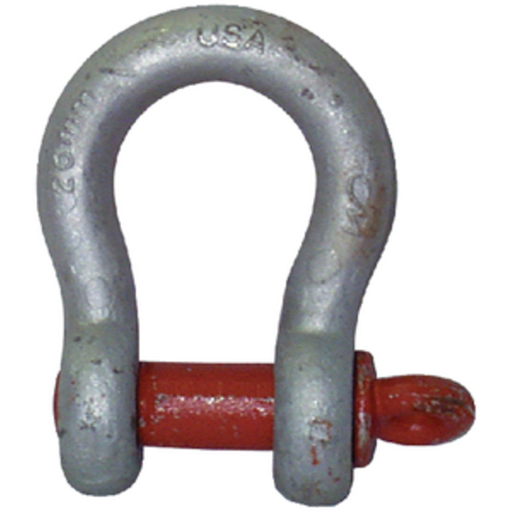 Thumbnail for Image 1