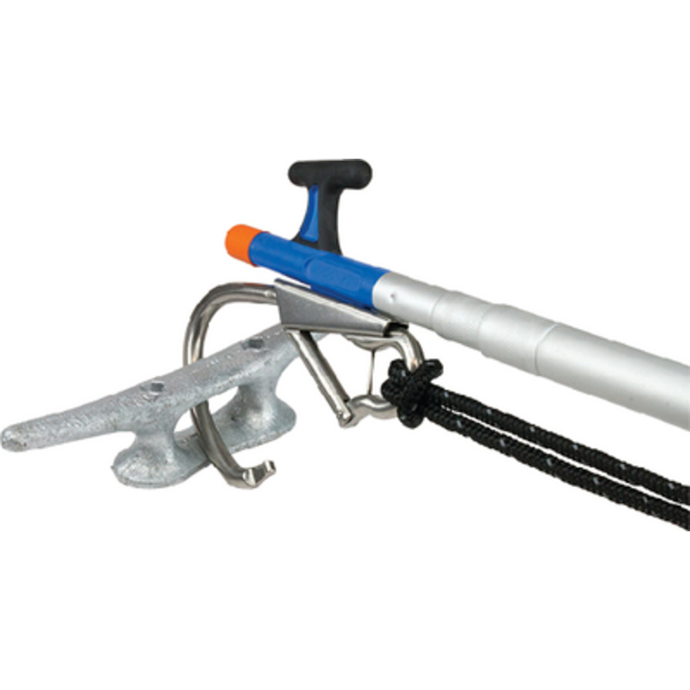 Thumbnail for Image 2