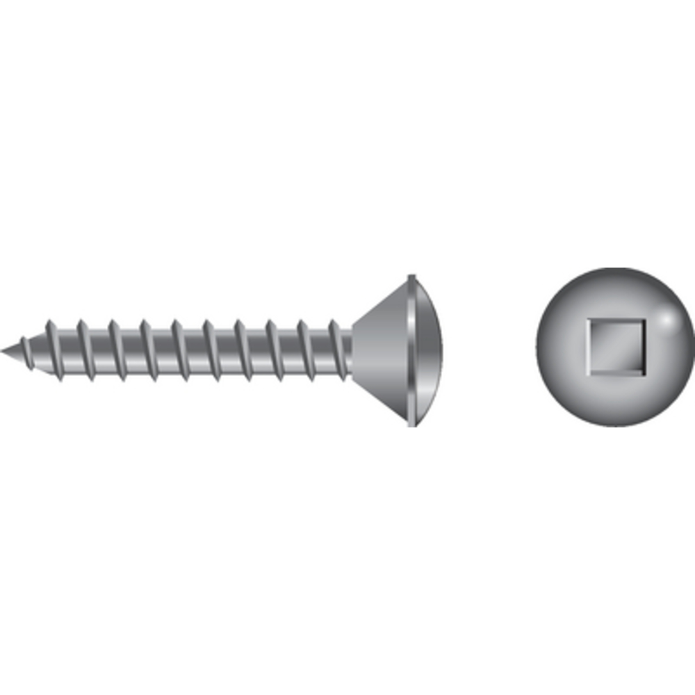 Thumbnail for Image 1