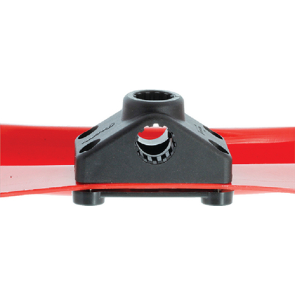 Thumbnail for Image 2