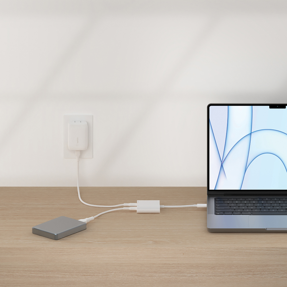 Thumbnail for Image 3