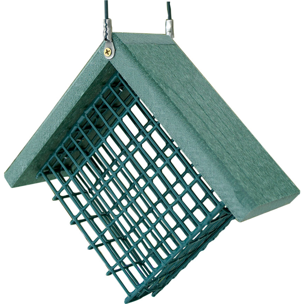 Audubon Woodlink 517598 Going Green Suet Bird Feeder | eBay
