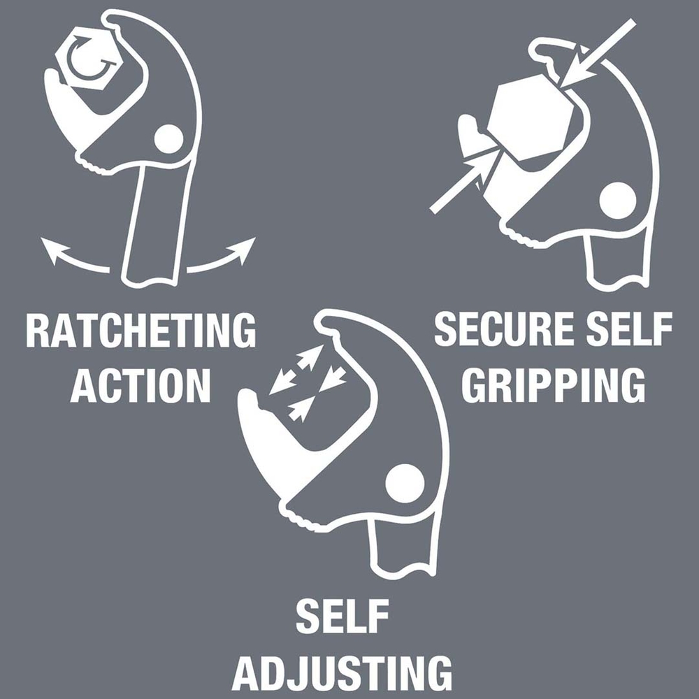 Thumbnail for Image 3