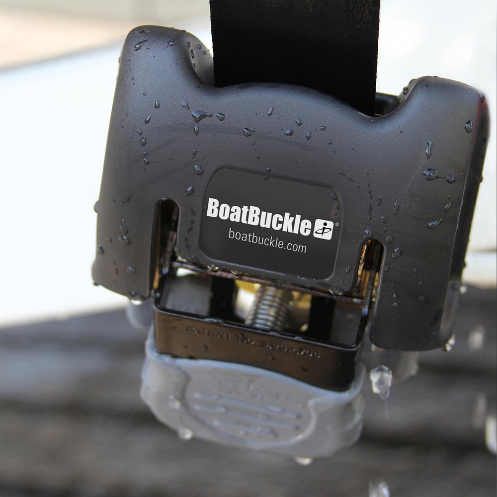 Thumbnail for Image 3