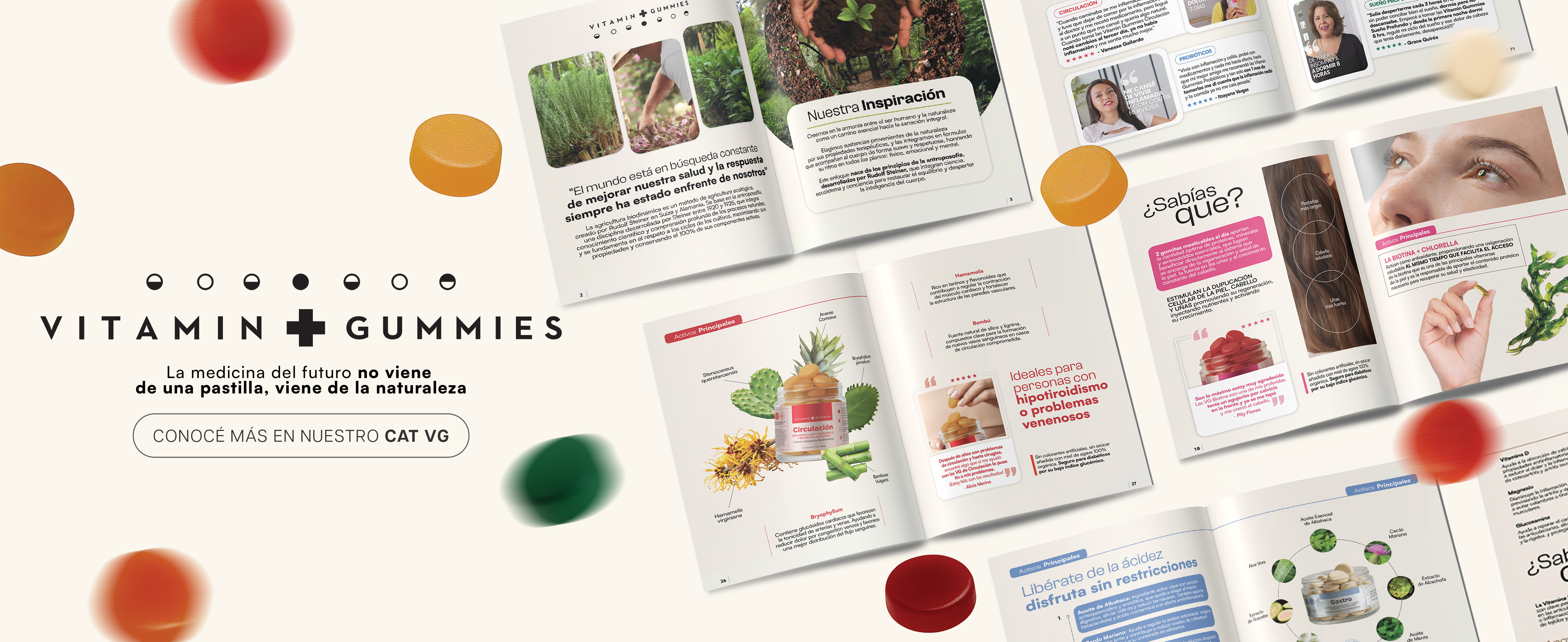 catalogo vg