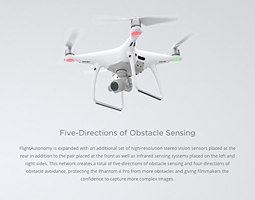 Dji Phantom 4 Pro W Platinum Ii Bundle Includes Ipad Mini 4 3 Dji Phantom 4 Batteries Go Professional Carrying Case W Wheels Sandisk 64gb Extreme Pro Microsd Card And More Circuit Street