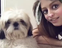 Collab Pets_For_All - White Dog Confused By Rabbit Snap Chat Filter