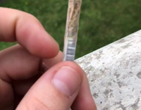 NSFW Two guys smoking in balcony cat watches