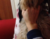 brown dog getting pet by owner