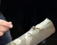 guy white shirt drinks beer with spider inside