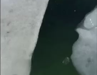 Fat guy black shirt camo pants jumps into frozen pool with blue pool noodle