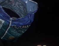 Guys feed raccoon with tortilla chips 