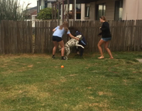 Dalmatian dog attacks big haired girl