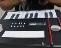 Guy plays piano with his cat 