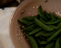 Brown white dog stares at food and then gets a piece 