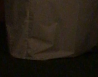 white puppy coming out of sheet and  running around 