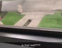 Collab Sarcastic - Guy finds money driveway