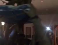 Guy in yellow swim trunks on top of blue surfboard being held up by people at house party