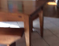 Black dog sunbathes on wooden kitchen table 
