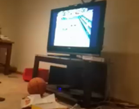 guy blue shirt playing wii tennis drunk breaks remote