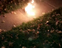 NSFW Guy steps on small fire near grass 