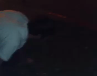 guy white shirt throwing up on grass