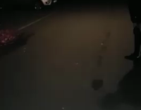 Guy in black sweater outside in the dark dives into bush