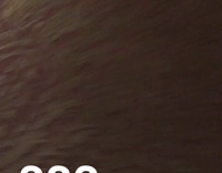 white dog laying down with legs spread 