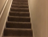 Football Helmet Guy Slides Down Stairs On Pizza Box