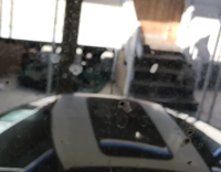 Pug Twerks on Porch Stoop Stairs