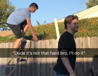 guy in gray shirt jumps from latter and falls into bushes 