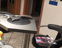 Music Guy in black tank top and black dog do Mannequin Challenge 