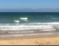 Guy floats in ocean on large pineapple inflatable toy 