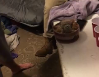 Guy in tan beanie grabs cactus and cuts hand 