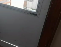 Chowzen's Breaking In Cat Opens Door