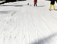 black support dog in red harness running on ski slopes 