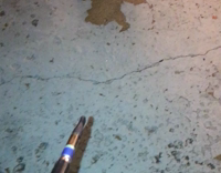 A guy records himself giving a raccoon an e cigarette 