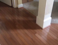 Grey stripped cat in brown box stares at owner 