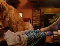 Labrador Dog Sits On Owner's Recliner and Howls at Tom Brady