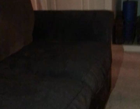 Black dog runs into couch trying to catch tennis ball 