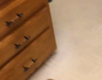 Brown Dog Tries to Bite Purple Swiffer on Linoleum