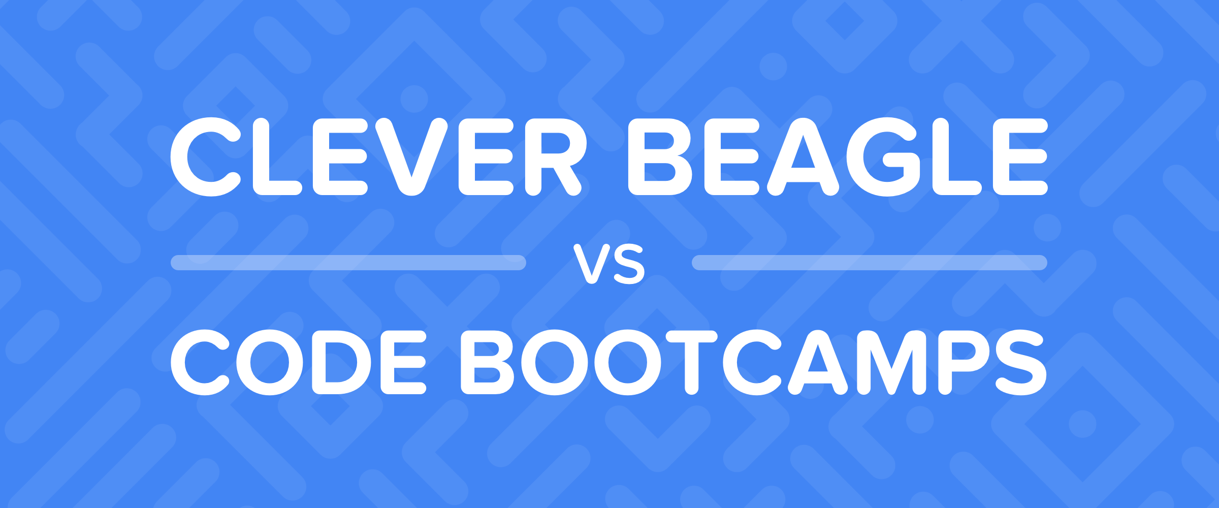 Building a Business vs. Getting a Job: How Clever Beagle is Different From Bootcamps